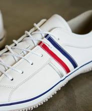Load image into Gallery viewer, SP-168 Tricolor