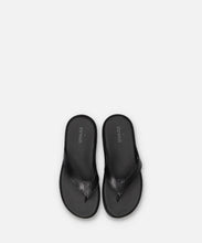 Load image into Gallery viewer, SP-1717 Black - Spingle Move Manila