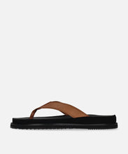 Load image into Gallery viewer, SP-1717 Brown - Spingle Move Manila