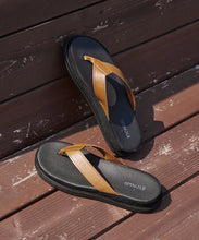 Load image into Gallery viewer, SP-1717 Brown - Spingle Move Manila