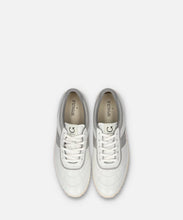 Load image into Gallery viewer, SP-1070 White
