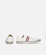 Load image into Gallery viewer, SP-168 Tricolor
