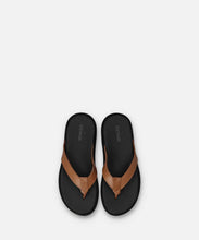 Load image into Gallery viewer, SP-1717 Brown - Spingle Move Manila
