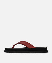 Load image into Gallery viewer, SP-1717 Deep Red - Spingle Move Manila

