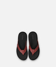 Load image into Gallery viewer, SP-1717 Deep Red - Spingle Move Manila
