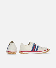 Load image into Gallery viewer, SP-198 Tricolor
