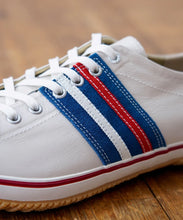 Load image into Gallery viewer, SP-198 Tricolor
